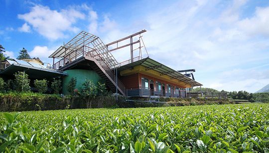 許家茶園民宿-登上至高點，欣賞無比自然的瑞里之美