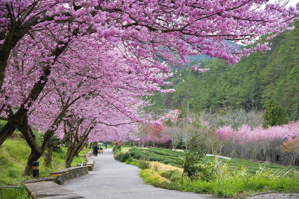 武陵山莊(Wu Ling Village)