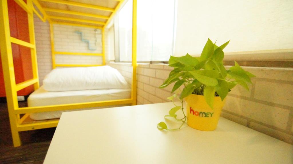 紅米國際青年旅館(Homey Hostel)