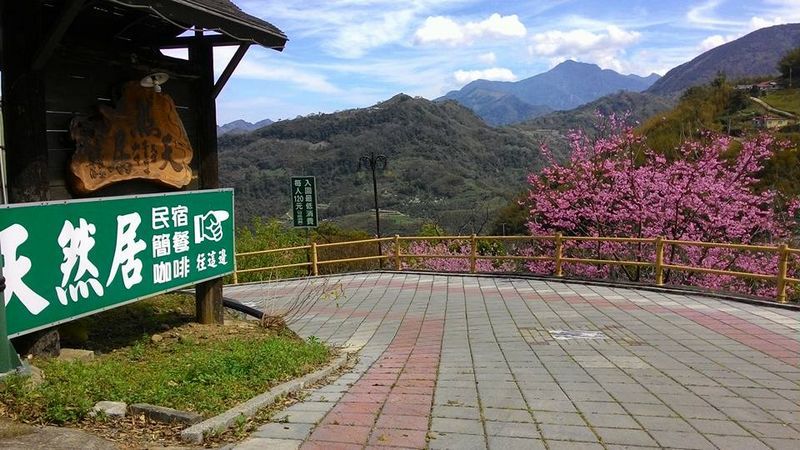 天然居民宿(Natural Residence B&B)