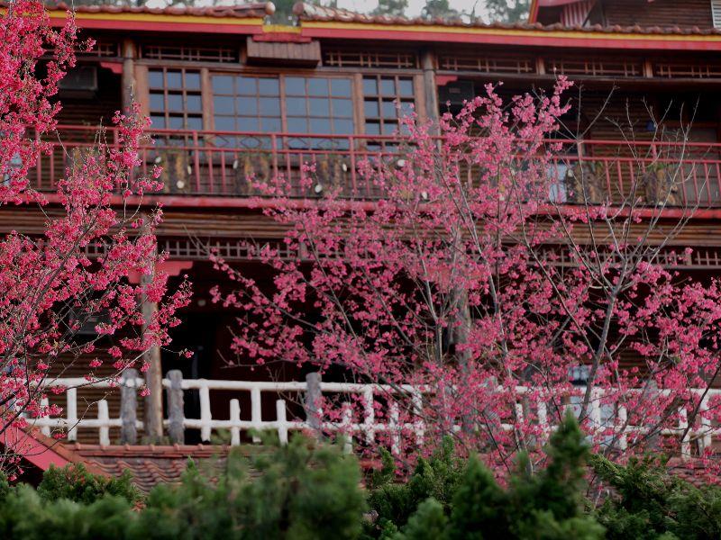 萬瑞渡假村(Wan Ruey Resort)