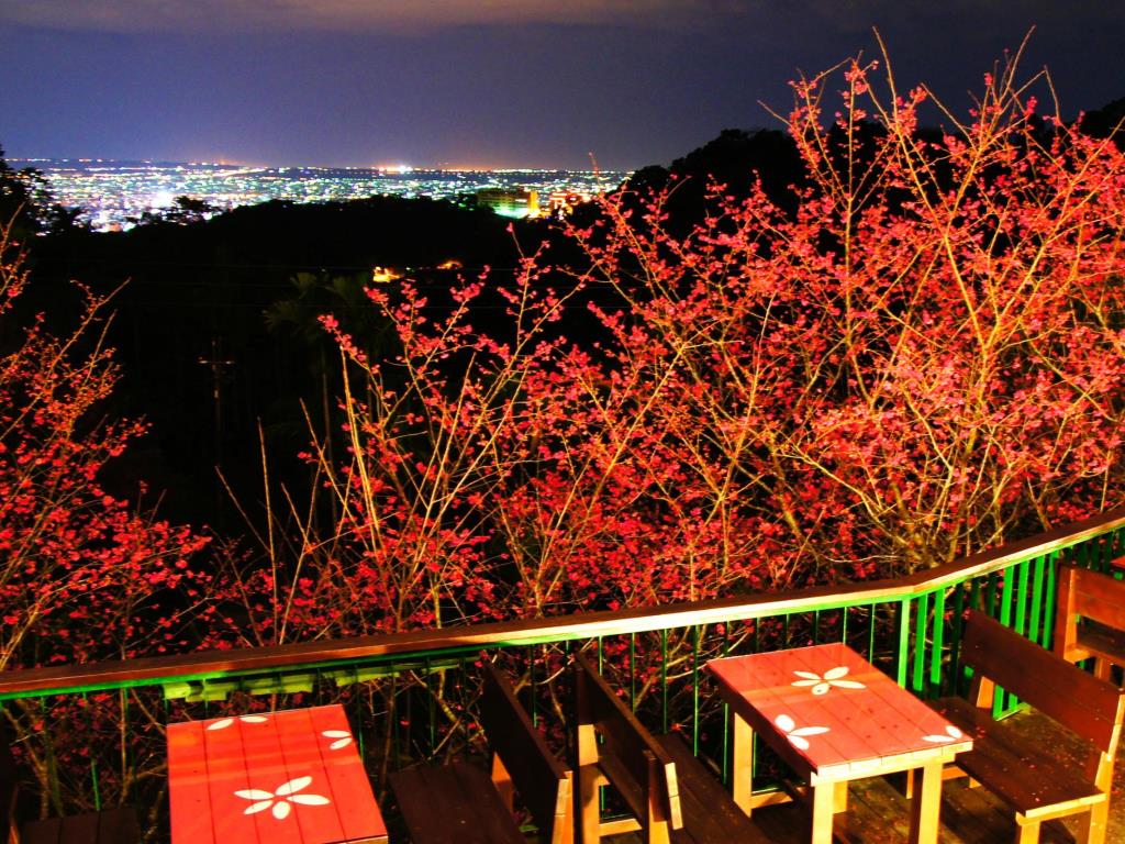 流星花園民宿(Meteor Garden B&B)