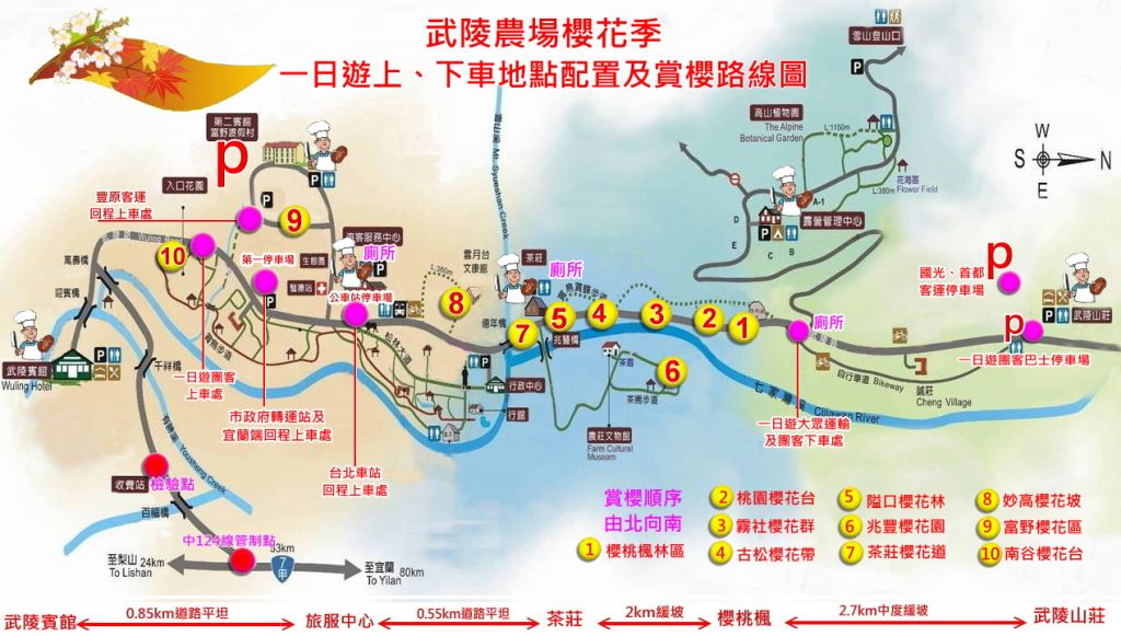 台中武陵農場櫻花季(台灣賞櫻花)