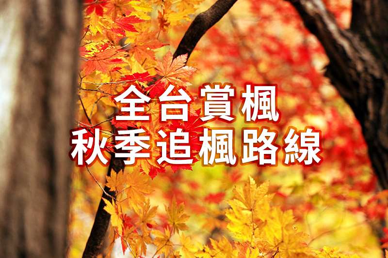 棒城市-2023全台灣賞楓景點推薦懶人包-秋季追楓路線及楓況分享