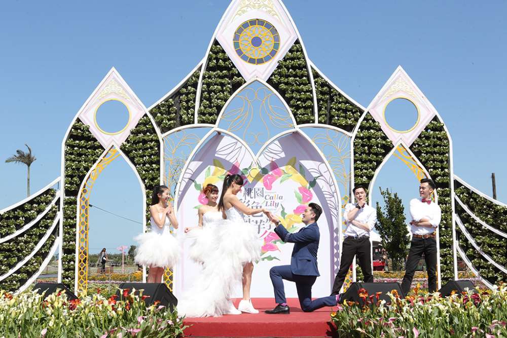 2018桃園彩色海芋季-浪漫芋花園.五彩繽紛最新花況+5大亮點!