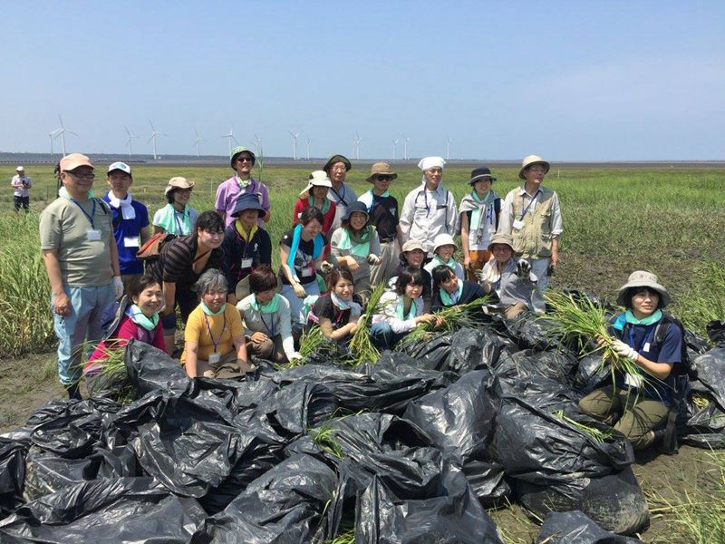 《生態教育》高美濕地棲地保育－日本野鳥學會志工遠道來台參與
