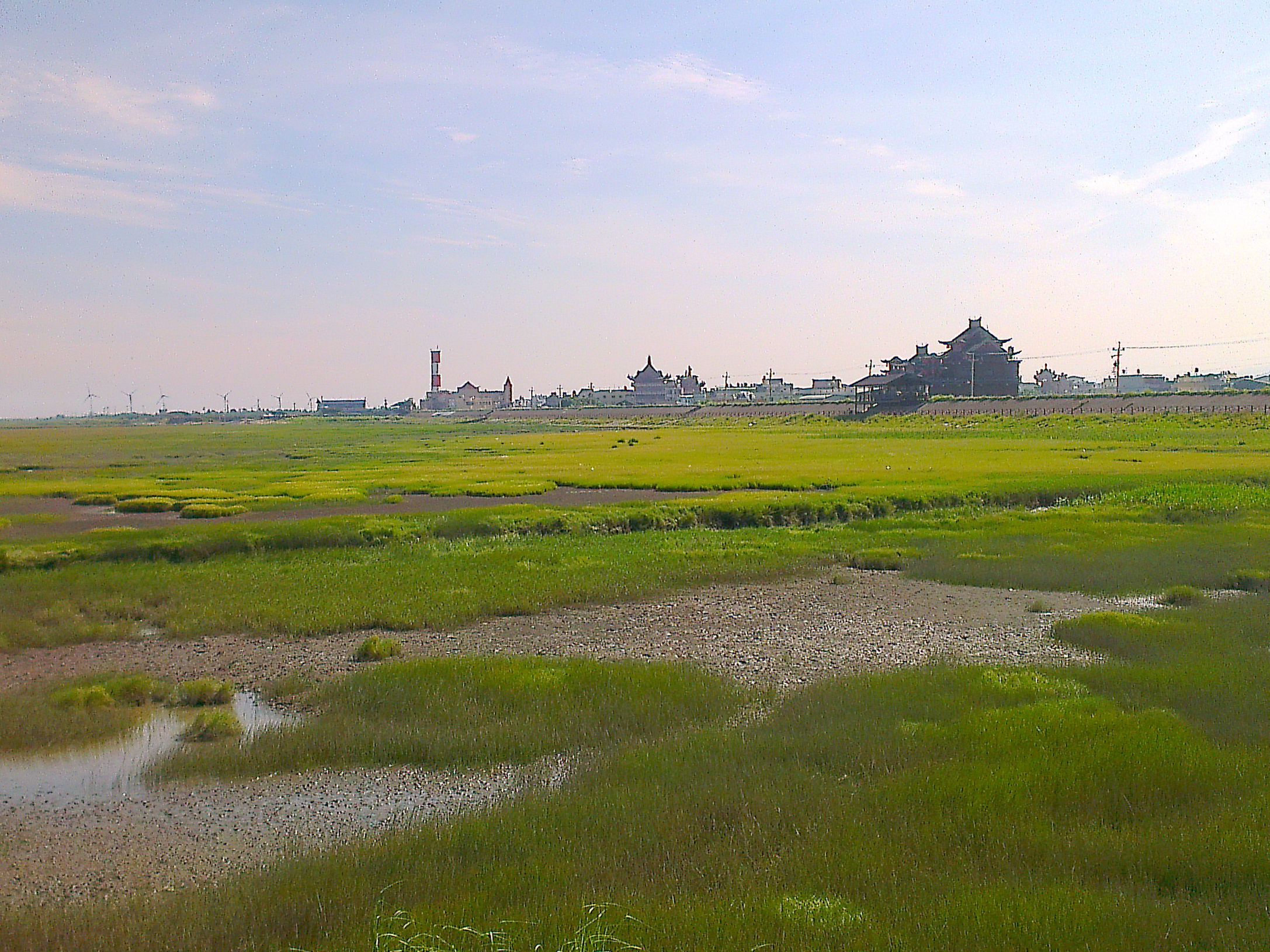 《生態教育》2015高美濕地生態與人文導覽之旅