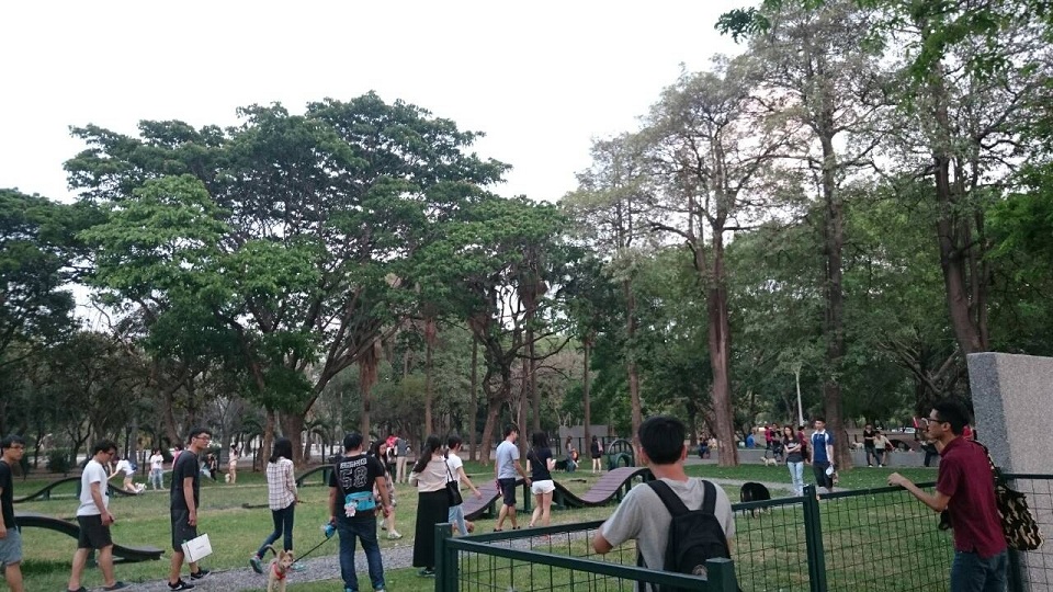 《寵物》寵物旅遊-友善動物城市 營造狗狗的快樂天堂