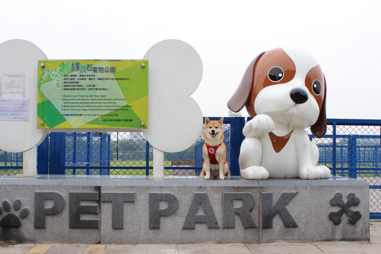 《寵物》寵物旅遊-綠寶石運動園區寵物公園 成功打造狗狗同好運動交流的平台