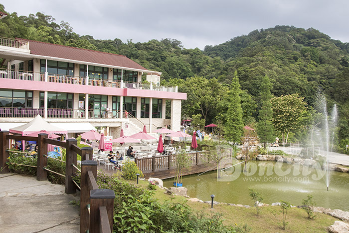 《新竹外拍旅遊景點》青青大草原我來了，擁抱遼闊的心鮮森林