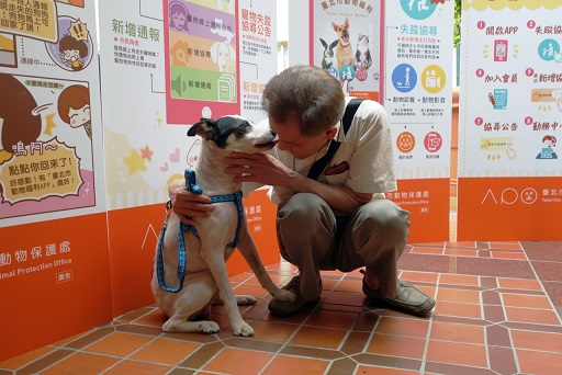 《寵物》寵物認養-「臺北市動物福利APP」首創線上通報系統 民眾寵物失蹤協尋更方便
