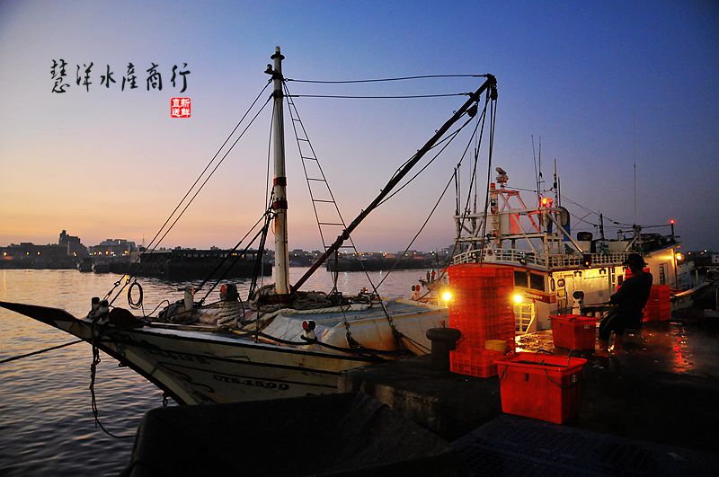 《澎湖海鮮專賣》來自海洋的味道-澎湖野生土魠魚冬季肥美搶先嚐