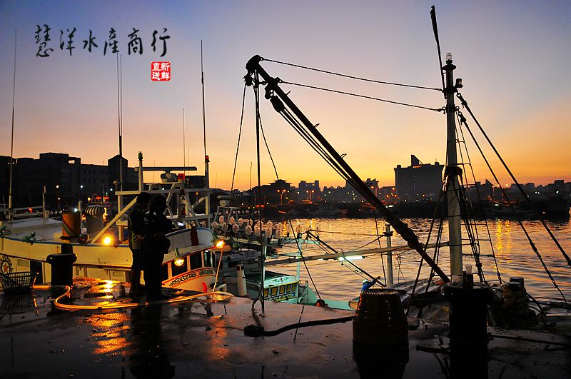 《澎湖海鮮專賣》來自海洋的味道-澎湖野生土魠魚宅配到家