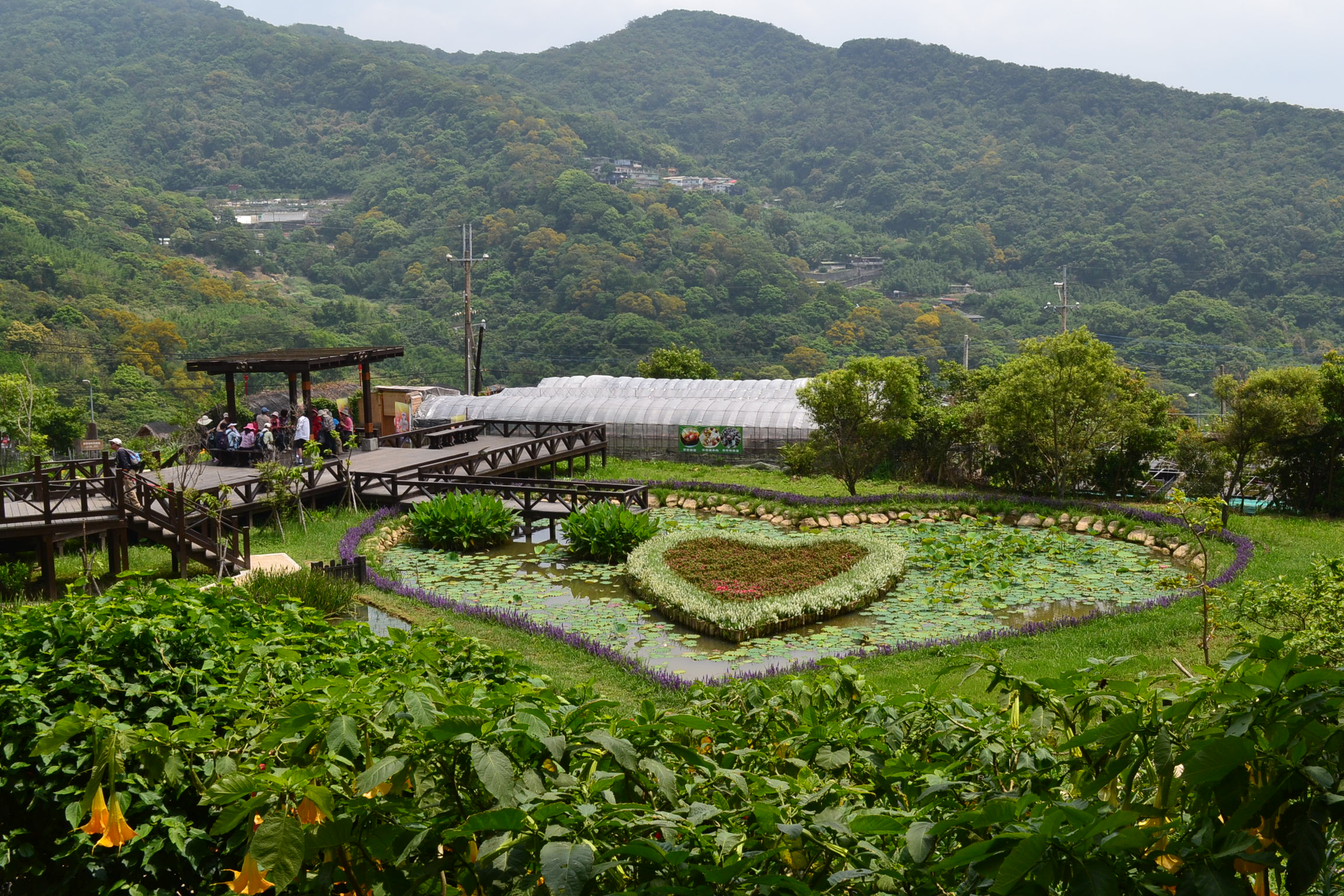 《旅遊》母親節旅遊-母親節闔家歡樂齊賞花
