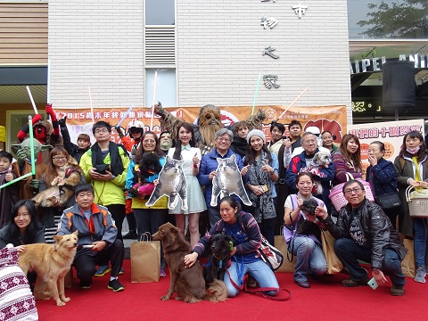 《寵物》寵物旅遊-毛小孩回娘家園遊會 當臺灣毛小孩與日本流浪貓「喵吉」相遇