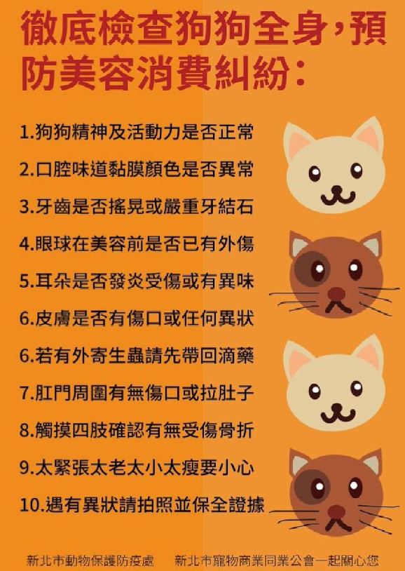 《寵物》寵物講座-美容意外的預防與處理
