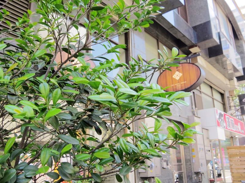 TF想食廚房(台中西區異國料理)