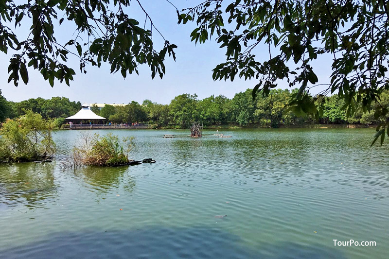 八德埤塘自然生態公園-池塘邊、樹蔭下野餐休憩或運動，適合家庭親子或寵物玩樂的好去處!
