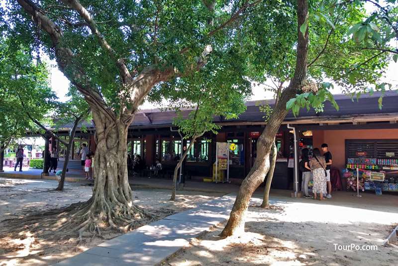 桃園八德埤塘生態公園