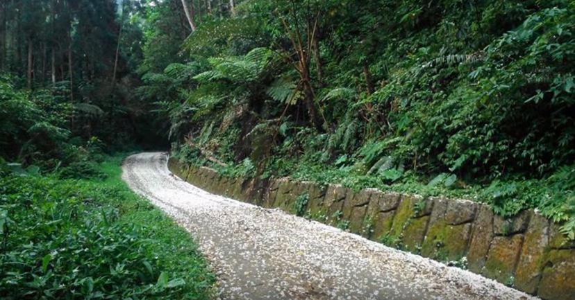 南天古道