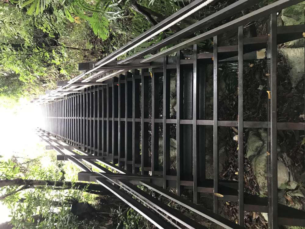 台中大坑十號步道