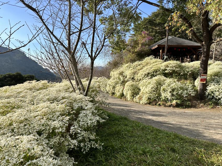 沐心泉休閒農場