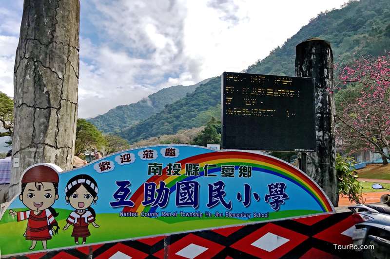 南投仁愛互助國小賞梅-彭家梅園、羅家梅園(互助國小賞梅步道)