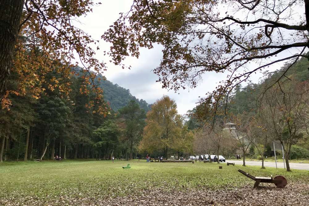惠蓀林場