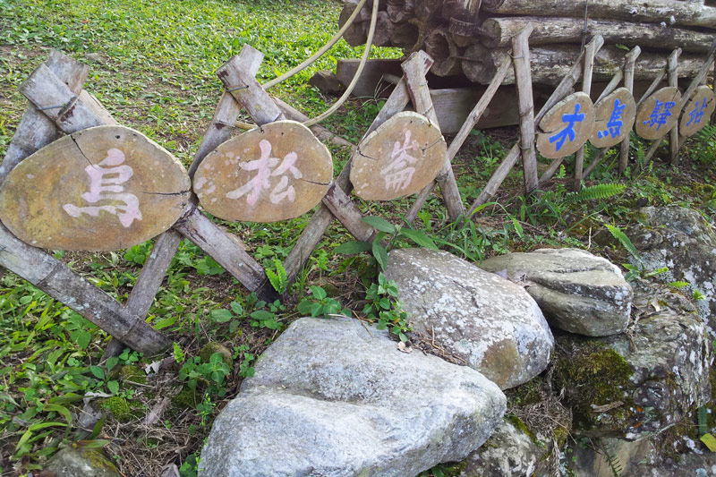 烏松崙觀光梅園(台灣賞梅花)