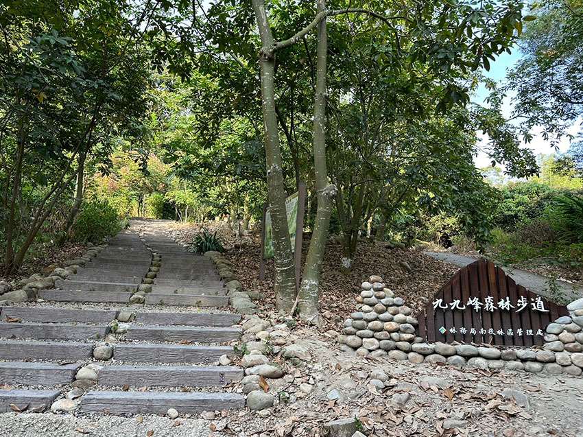 九九峰森林步道 | 九九峰生態藝術園區｜南投草屯景點