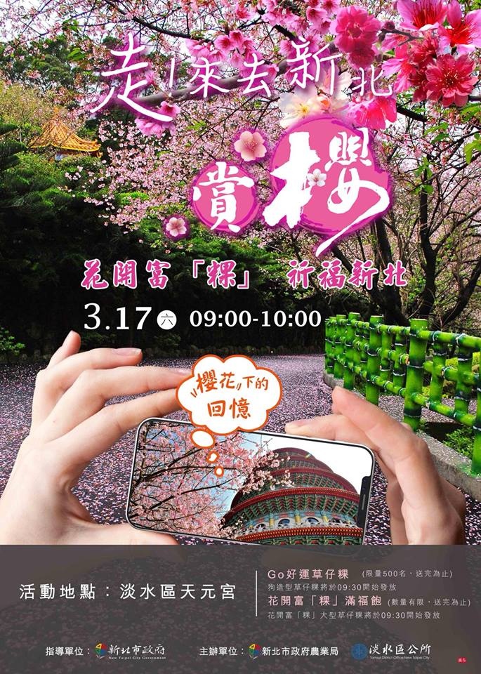 棒城市-淡水天元宮櫻花(吉野櫻花)-三月底前北台灣最後一波櫻花季
