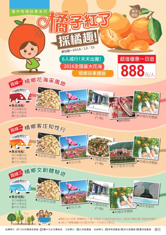 「橘子紅了 採橘趣! 」來臺中體驗採柑橘活動!