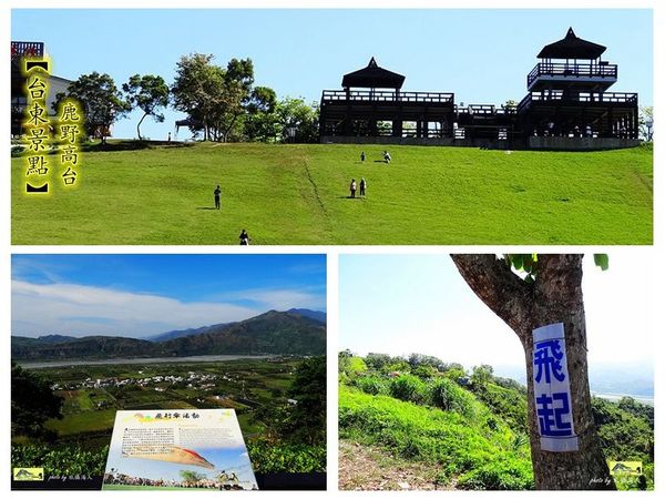 【台東旅遊景點】台東鹿野高台-飛行傘遙望一望無際天際夢想，廣大綠草皮，每年熱氣球的瘋迷聖地