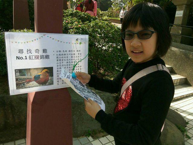 藍孔雀其實也是雞！新竹市立動物園春節推出奇「雞」大揭祕 歡迎親子遊玩