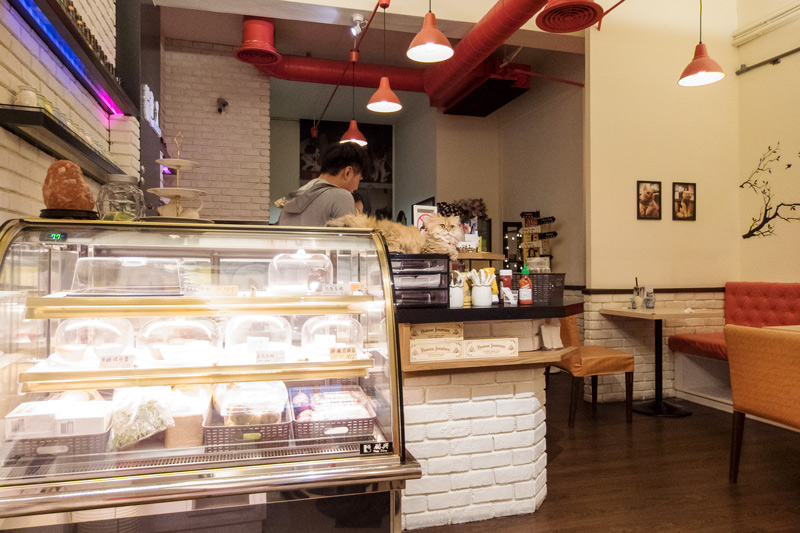 貓爸貓咪主題餐廳-從貓延展出的各式美味(已停業)