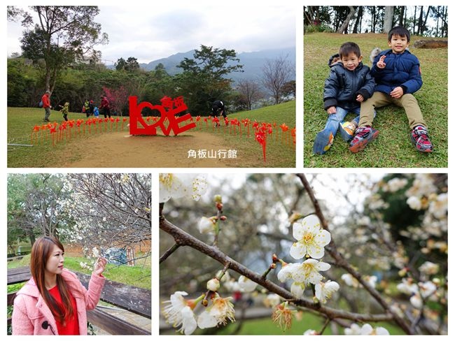 2018角板山梅花季 ▶ 角板山行館賞梅、戰備隧道 ▶ 全台最長的新溪口吊橋啟用
