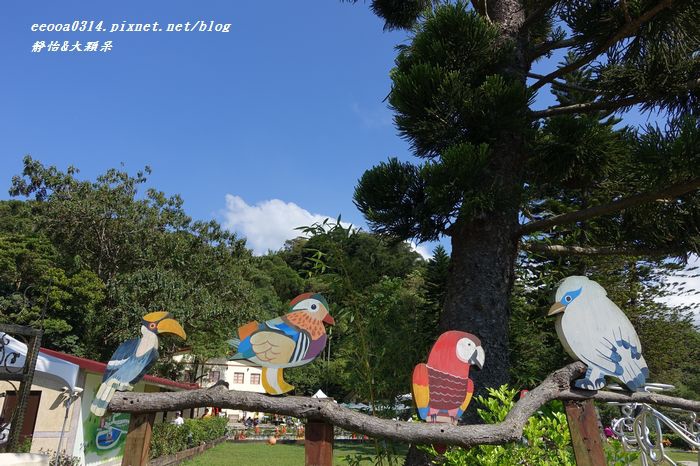 【新竹新埔】森林鳥花園 遛小孩+親子同遊♥讓小孩嗨翻天的快樂鳥花園