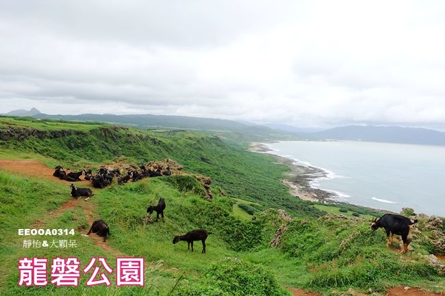 【屏東|墾丁景點】龍磐公園 ♥ 遼闊大草原.一望無際美麗海景.遇見一群賞海景的可愛羊兒