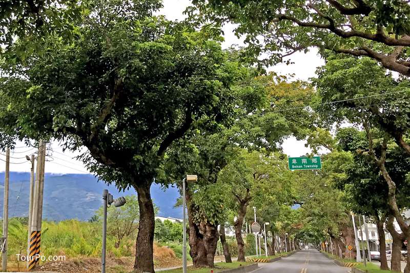 卑南鄉台九線-綠色隧道
