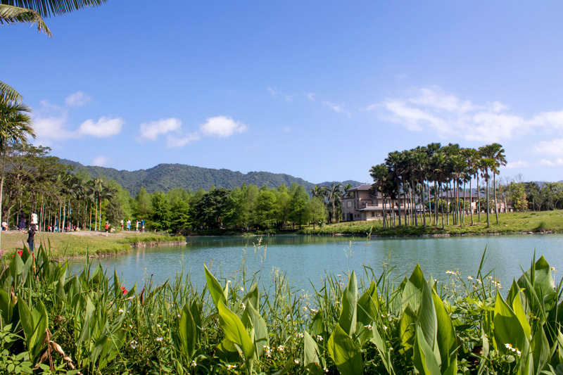 花蓮雲山水Villa Home