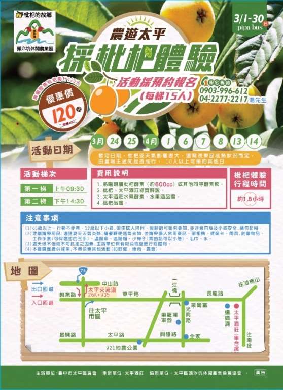 棒城市-2019枇杷春遊太平農遊趣-枇杷巴士、採枇杷體驗、枇杷樹認養
