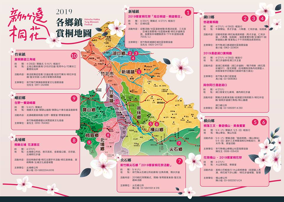 2019新竹遶桐花