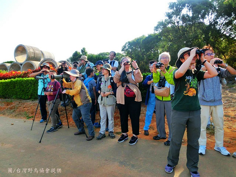 美好生態〜鳥兒就在身邊-臺中市國民小學學生賞鳥比賽