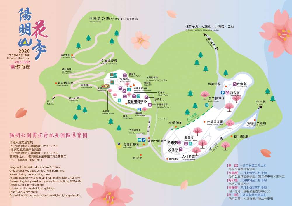 2020陽明山花季