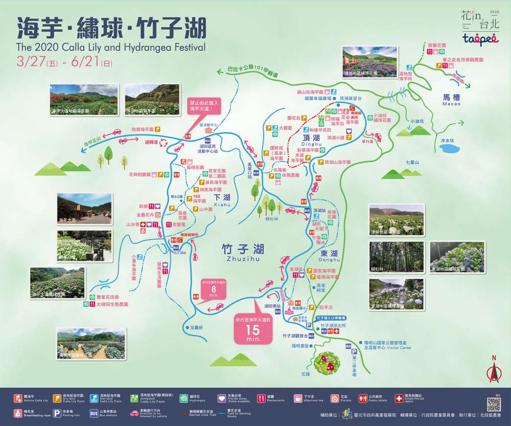 「2020海芋．繡球．竹子湖」戶外系列活動等你來體驗