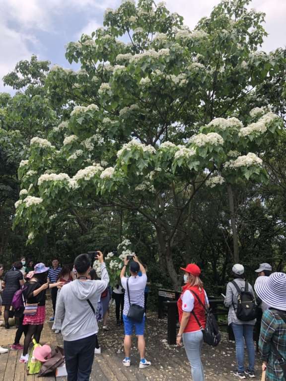 棒城市-假期防疫不鬆懈！ 來場戶外森呼吸 感受苗栗大自然旅的舒心
